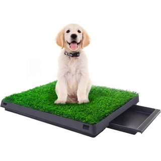 Potty grass for dogs sales walmart
