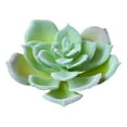 thumbnail image 1 of Coofit Artificial Succulent Lovely Lifelike Lotus Flocking Faux Plant Fake Succulent, 1 of 6