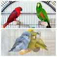 thumbnail image 5 of 1x10.6" Wood Bird Perch Paw Grinding Stick Stand Parrot LoveBird Parakeet Cockatiel, 1 Set, 5 of 5