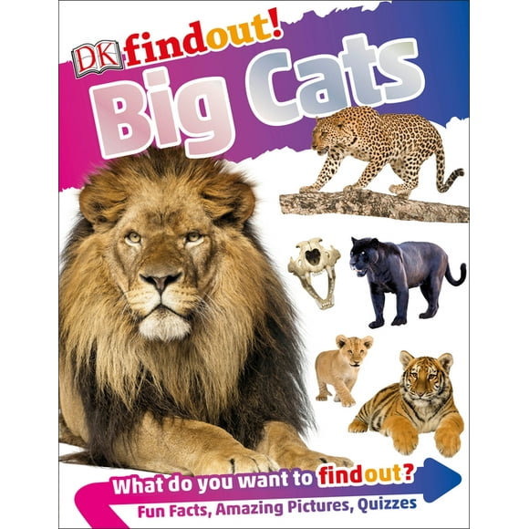 DK findout!: DKfindout! Big Cats (Hardcover)