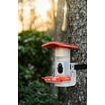 thumbnail image 4 of FeatherSnap Smart Hummingbird Feeder with HD Camera  WiFi Solar Bird Feeder with Motion Sensor, App Alerts, Live Video & Photo Capture  1L Nectar Capacity + Pole Stand, 4 of 9