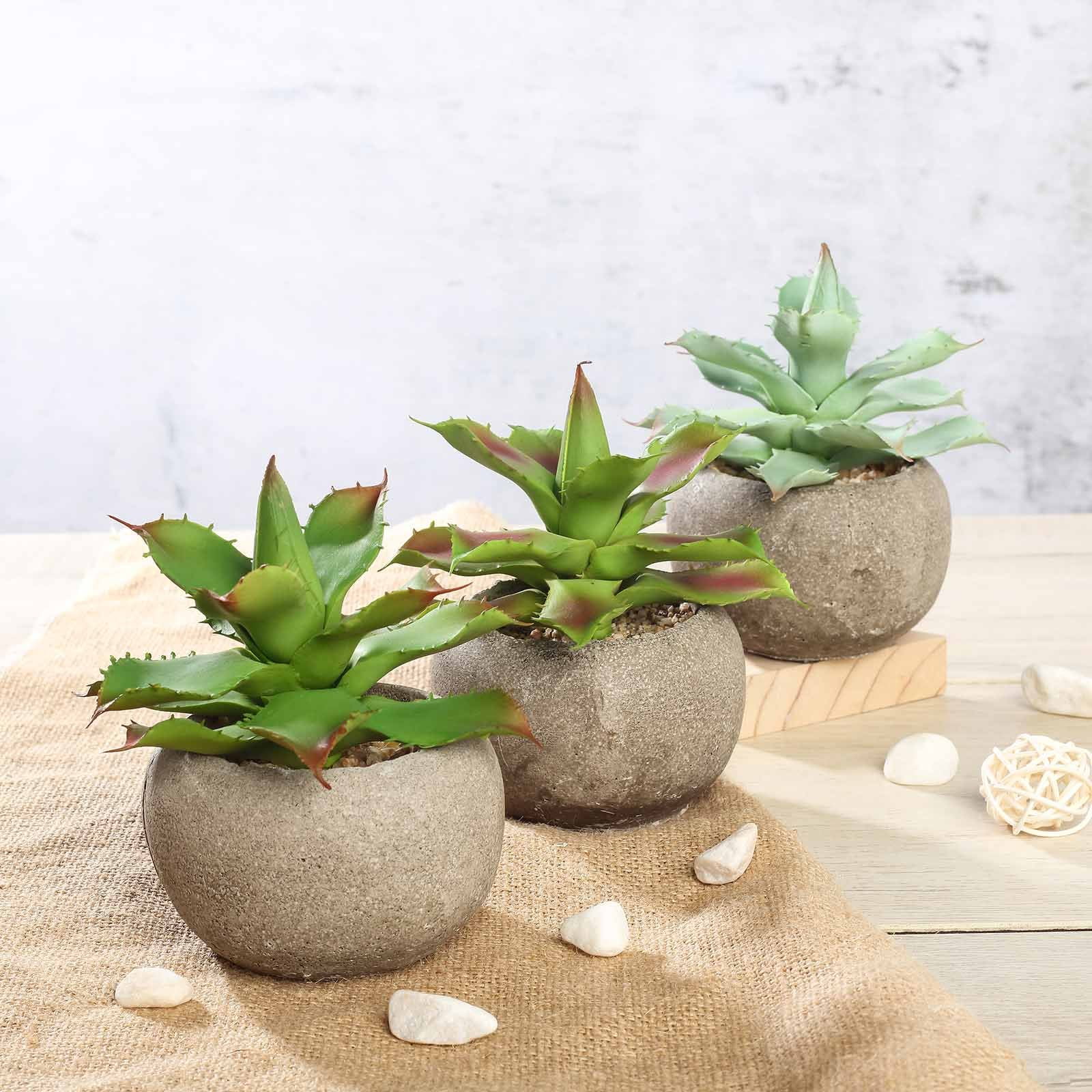 Set of 3 Assorted Fake Succulents in Pot 5&quot; Assorted