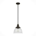 thumbnail image 2 of Hunter - Cypress Grove 1-light Onyx Bengal, Small Pendant Light, Dimmable, Transitional Style, Dome Shaped, for Bedrooms, Dining, Living Rooms - 19248, 2 of 8
