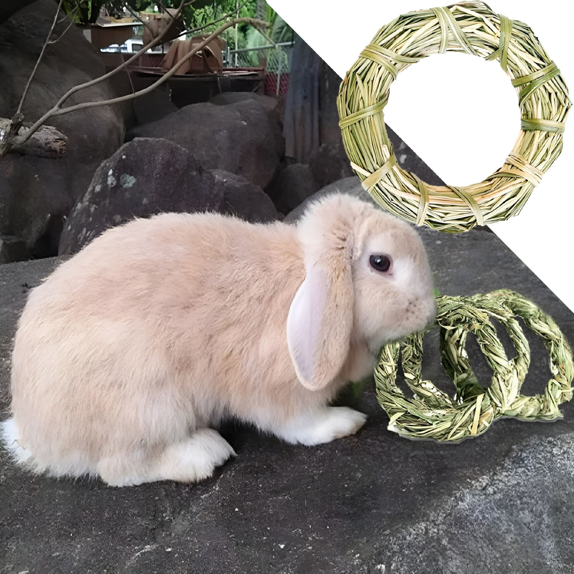 BESTSKY Rabbit Chew Toys Nature Grass Ring Toys for Teeth Care Gnawing Treats Toy for Hamsters Chinchillas Guinea Pigs Gerbils Rat Pet Cage Entertainment Accessories