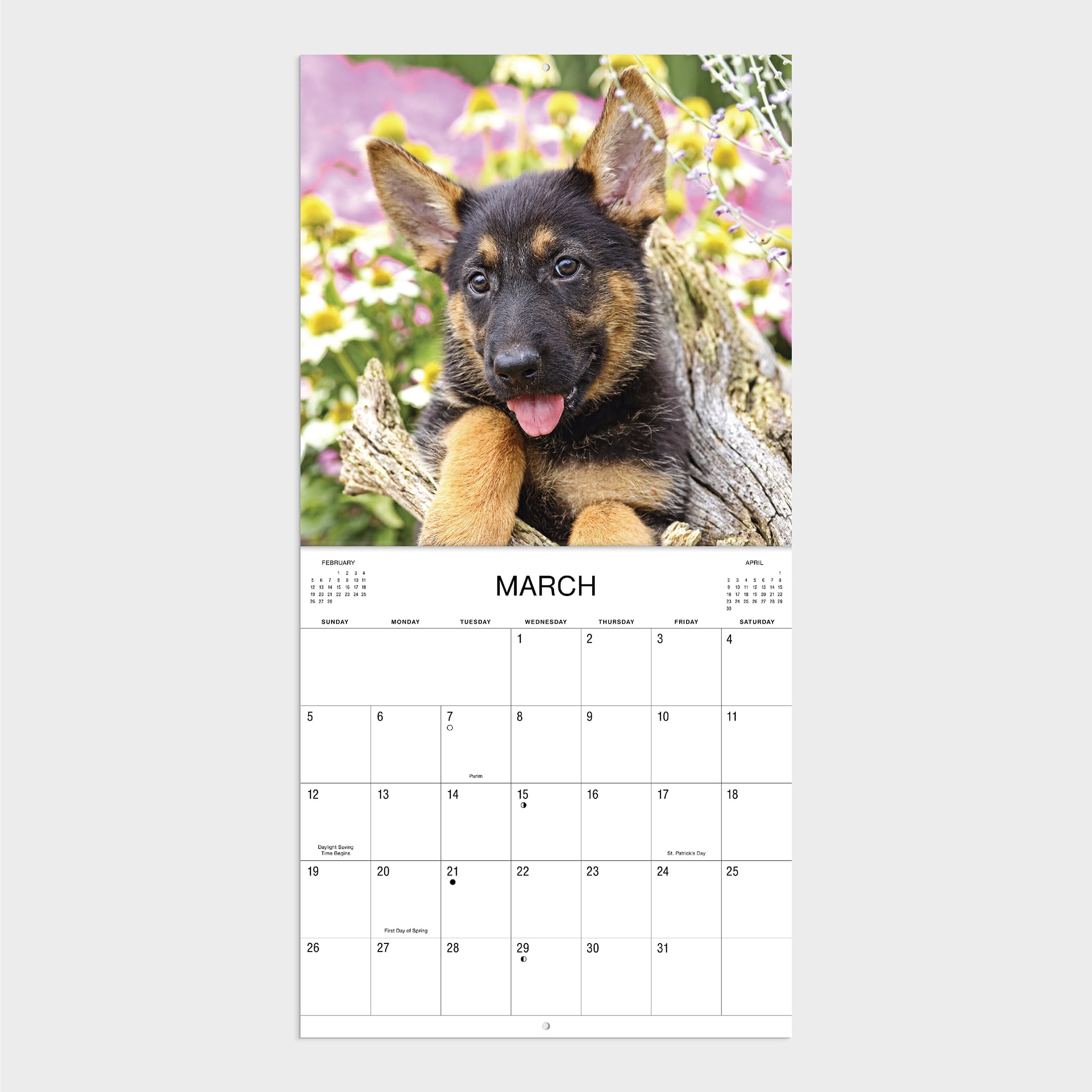 2023 - 12 Month Calendar-German Shepherd - 12x12 Hanging Wall Calendar by DaySpring