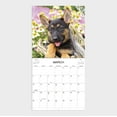 thumbnail image 3 of 2023 - 12 Month Calendar-German Shepherd - 12x12 Hanging Wall Calendar by DaySpring, 3 of 5