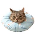 thumbnail image 1 of Alternativa de cono para perros después de la cirugía, cono suave para perros pequeños y medianos, cono de donut para dejar de lamer y masticar, cono de recuperación protectora para perros, 1 of 8
