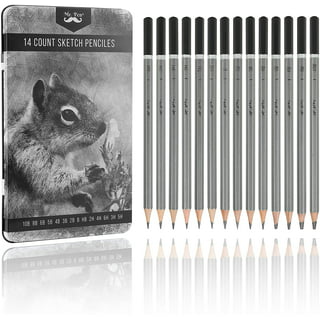 Happon Professional Pencils Drawing Set - 12 Pieces Pencils for Beginners &  Artists for Drawing, Sketching, Shading, Artist Pencils 