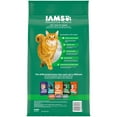 Iams Proactive Health Healthy Senior Dry Cat Food With Chicken, 7 Lb