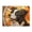 1000 Pieces, variant on 500 Piece Border Collie Dog Jigsaw Puzzle For Adults – Vibrant Stained Glass Art, Challenging Wooden Puzzle, Relaxing Brain Exercise & Home Decor Gift