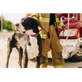 thumbnail image 2 of Country Brook Petz® Thin Red Line Martingale Dog Collar and Leash, Extra Small, 2 of 7