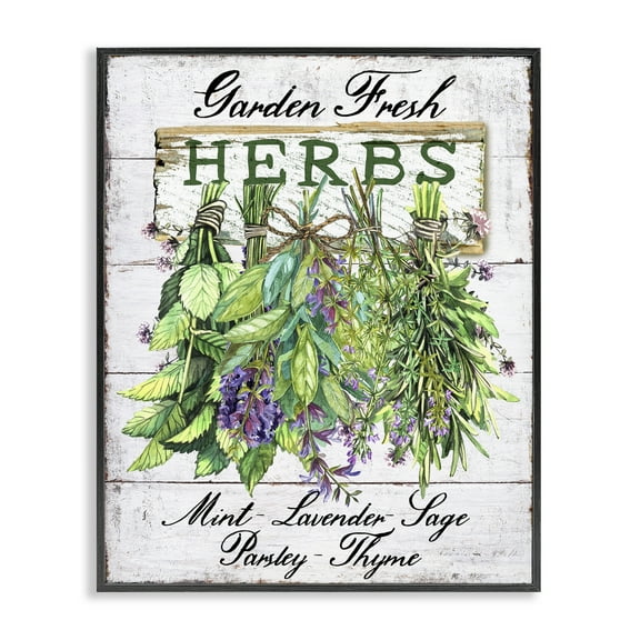 Stupell Industries Garden Fresh Herbs Food & Beverage Painting Black Framed Art Print Wall Art, 11 x 14