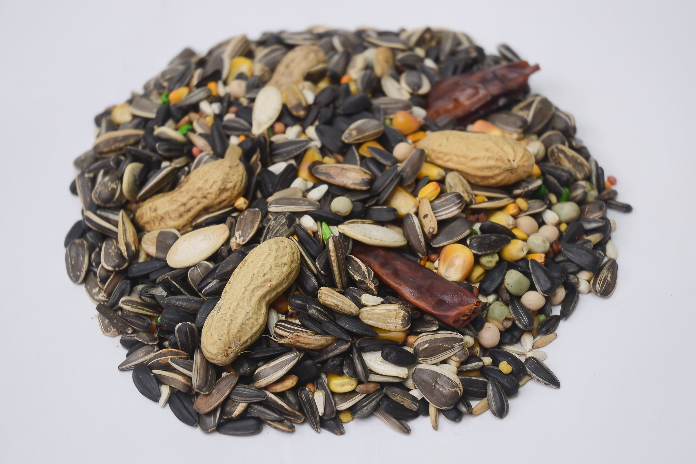 Provita Premium Seed Parrot Food, 4Lb. Jar