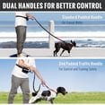thumbnail image 3 of FrostHike Laisse pour Chien Mains Libres Multitus, Laisse Élastique Rétractable à Double Poignée Douce Rembourrée avec Points Réfléchissants, Laisse Réglable pour Promenade, Course, Jogging, pour Chiens Moyens et Grands, 3 of 5