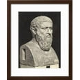 thumbnail image 2 of Bust of Grecian Philosopher Plato, Framed Art Print Wall Art Sold by Art.Com, 2 of 6
