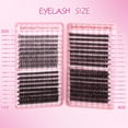 thumbnail image 3 of Kit de Extensiones de Pestañas 30D/40D - 640 Clústeres de Pestañas Falsas 9mm-16mm, incluye Herramienta Rosa, 3 of 8