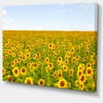 thumbnail image 2 of Beautiful Sunflowers Garden - Floral Canvas Art Print, 2 of 4