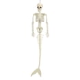 thumbnail image 1 of Full Body Skeleton,  Halloween Skeleton Decoration  For Party Outdoor, 1 of 8