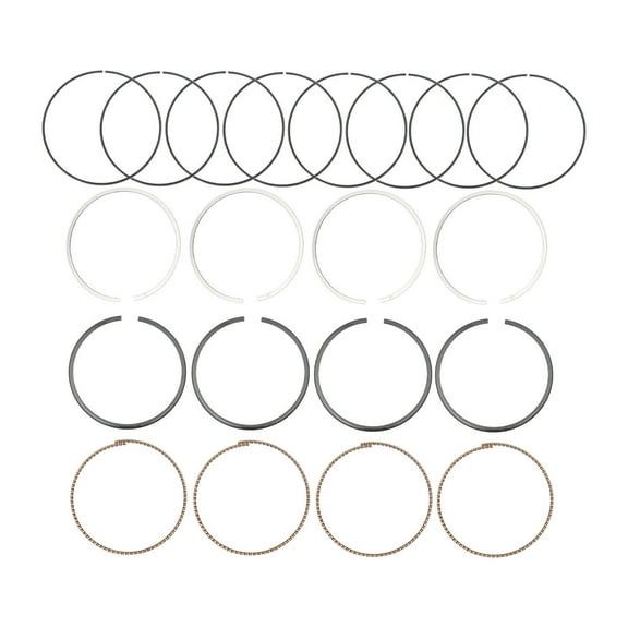 New Piston Rings Fits for Honda Civic CX DX HX LX Sohc 1.6L 96-00 USA