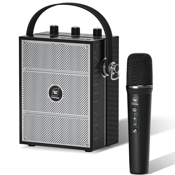 HW HAOWORKS 40W Portable Voice Amplifier with Mic,Bluetooth Speaker with Micr,PA System with Echo & Sound Effects,Wireless Karaoke for Singing-S98 Pro
