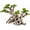 Tree-bonsai-Tree-Bonsai-S, variant on Aquarium Decor Tree-forest Tree-Forest-S Bonsai Tree Aquascaping
