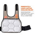 thumbnail image 3 of Ergodyne Chill-Its® 6230 Standard Phase Change Cooling Vest with Packs, Khaki, L/XL, 3 of 6