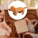 thumbnail image 1 of Lindo juguete de peluche de perro para abrazar, juguete de dibujos animados divertido para niños, adornos decorativos para sofá, juguete de peluche de 30 centímetros, 1 of 9