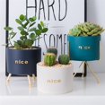 thumbnail image 4 of Coofit Ceramic Plant Pot Decorative: Simple Flower Pot Succulent Planter Pot with Hole, 4 of 8