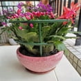 thumbnail image 6 of Plant Support Stakes Cage for Climbing Vines, Semicircle Flower Stand & Garden Trellis, Durable Plastic Greenhouse Fixing Rod, Garden Set, 6 of 6