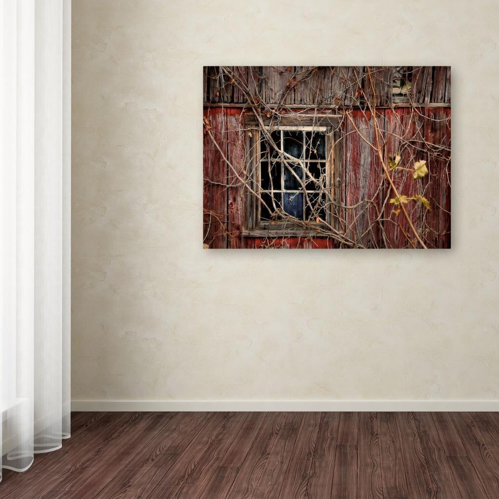 Lois Bryan 'Old Barn Window' Canvas Art