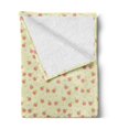 thumbnail image 2 of Ladybug Soft Flannel Fleece Throw Blanket, Bugs and Flourishing Daisies Pattern Pastel Colored Illustration, Cozy Plush for Indoor and Outdoor Use, 50" x 70", Pale Yellow White, by Ambesonne, 2 of 5