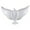 White, variant on WMQPNNS New Trending 1Pcs Peace Balloons White Memorial Release Balloons Bird Balloons Ceremonies Party Decorations for Wedding Funeral Birthday Engagement Party Todays Deals Clearance Sale