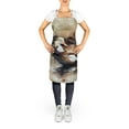 thumbnail image 2 of Carolines Treasures DAC3203APRON 30 x 27 in. Common Eider Duck Apron, 2 of 5