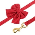 thumbnail image 4 of Juego de arneses para perros Didog Cute Small con collar y correa Red S, 4 of 7