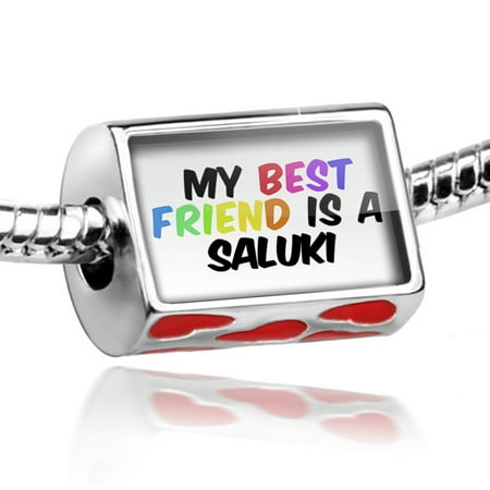 Bead My best Friend a Saluki Dog from Middle East Charm Fits All European