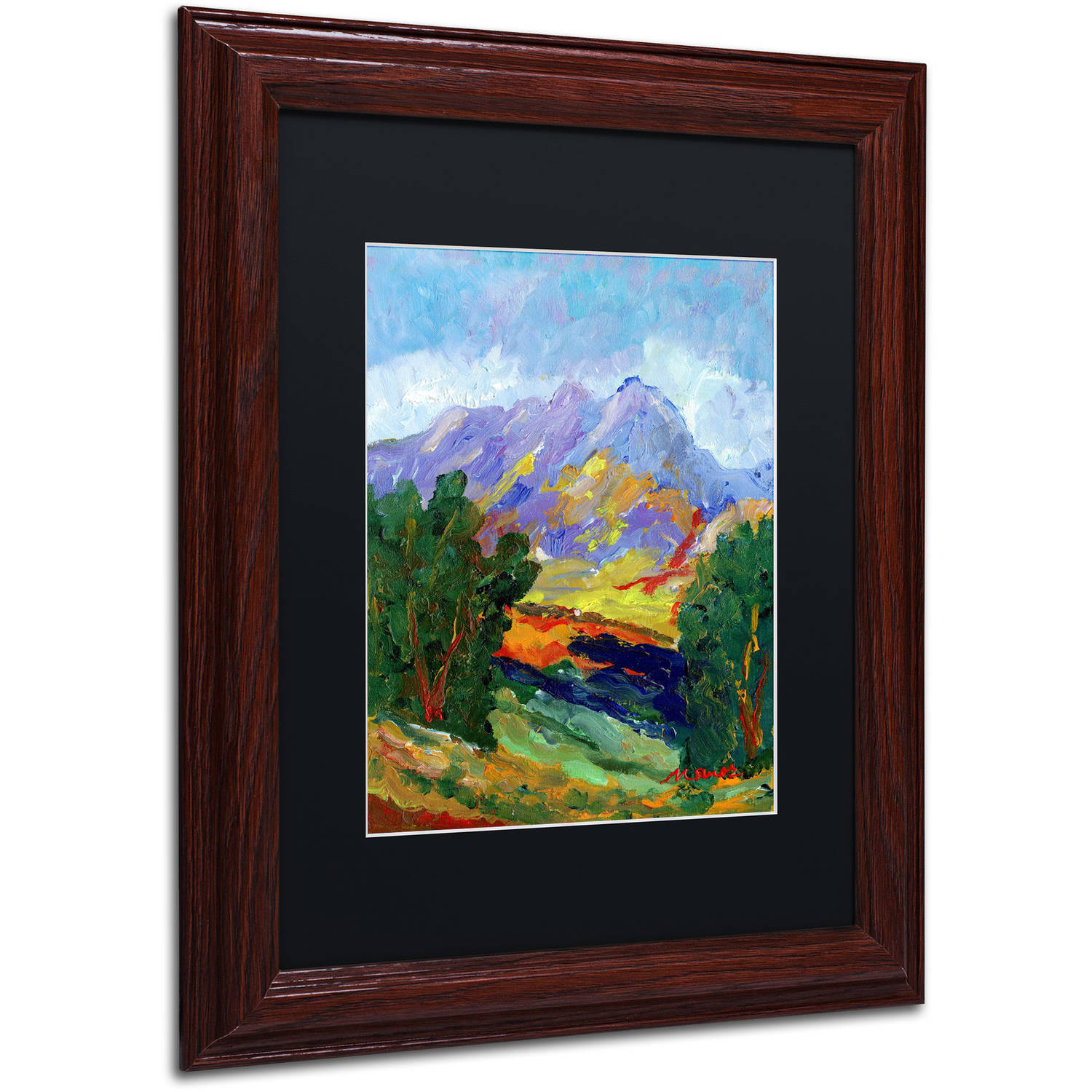 Trademark Fine Art "Autumn Amber California North" Canvas Art by Manor Shadian Black Matte, Wood Frame