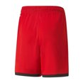 thumbnail image 2 of Puma Boys Girona FC Regular Football Shorts, 2 of 2