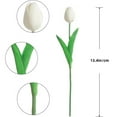 thumbnail image 2 of Cream White Tulips Artificial Flowers,QZS Real Touch Plastic Faux Flowers for Wedding Decorations,Durable White Tulips Bouquet for Dining,Room,Kitchen,Home Decorations, 2 of 6