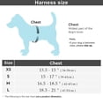 thumbnail image 4 of Jpetyy Dog Cat Vest Reflective Harness For Small Medium Dogs Chihuahua Bulldog, 4 of 5