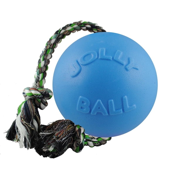 Juguete de Cuerda y Bola Jolly Pets arándano Grande para Perro 20,3 cm
