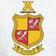 thumbnail image 3 of CafePress - Delta Chi Coat Of Arms T Shirt - Men's White Classic Cotton T-Shirts, 3 of 4