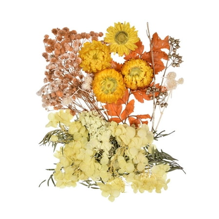 

Dried Pressed Flowers Dried Flowers Leaves Bulk for DIY Candles