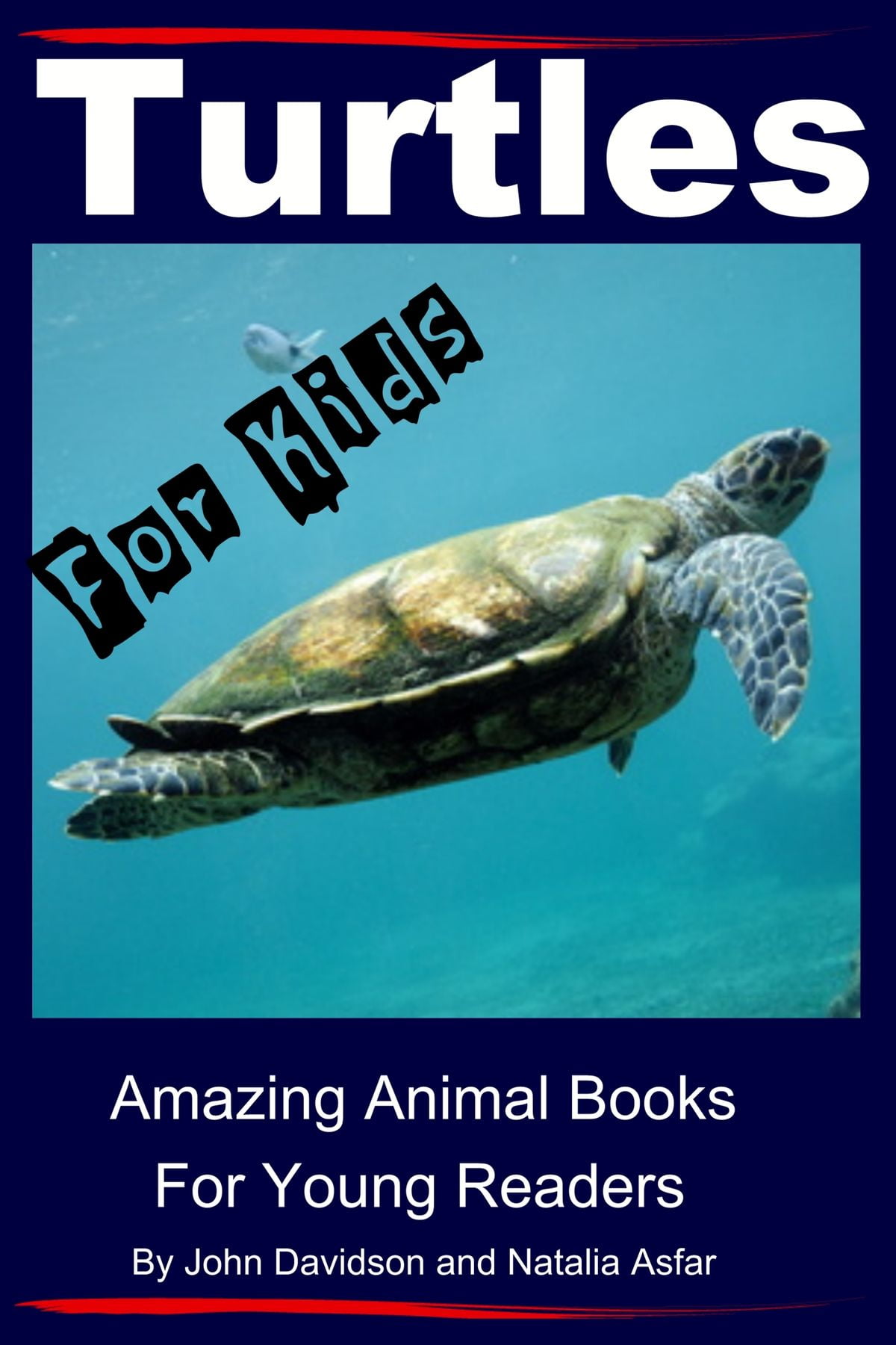 Turtles: For Kids - Amazing Animal Books for Young Readers - eBook