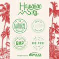 thumbnail image 3 of Hawaiian Silky Hawaiian silky extra strength spritz 12 fluid ounce Green 12 Fl Ounce, 3 of 4