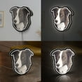 thumbnail image 2 of Border Collie Dog 3D Novelty Light Box, Smart Pet Breed Lamp Decor for Animal Lovers, Puppy Gifts and Herding Dog Rooms (Width 24 inch, 60cm), 2 of 9
