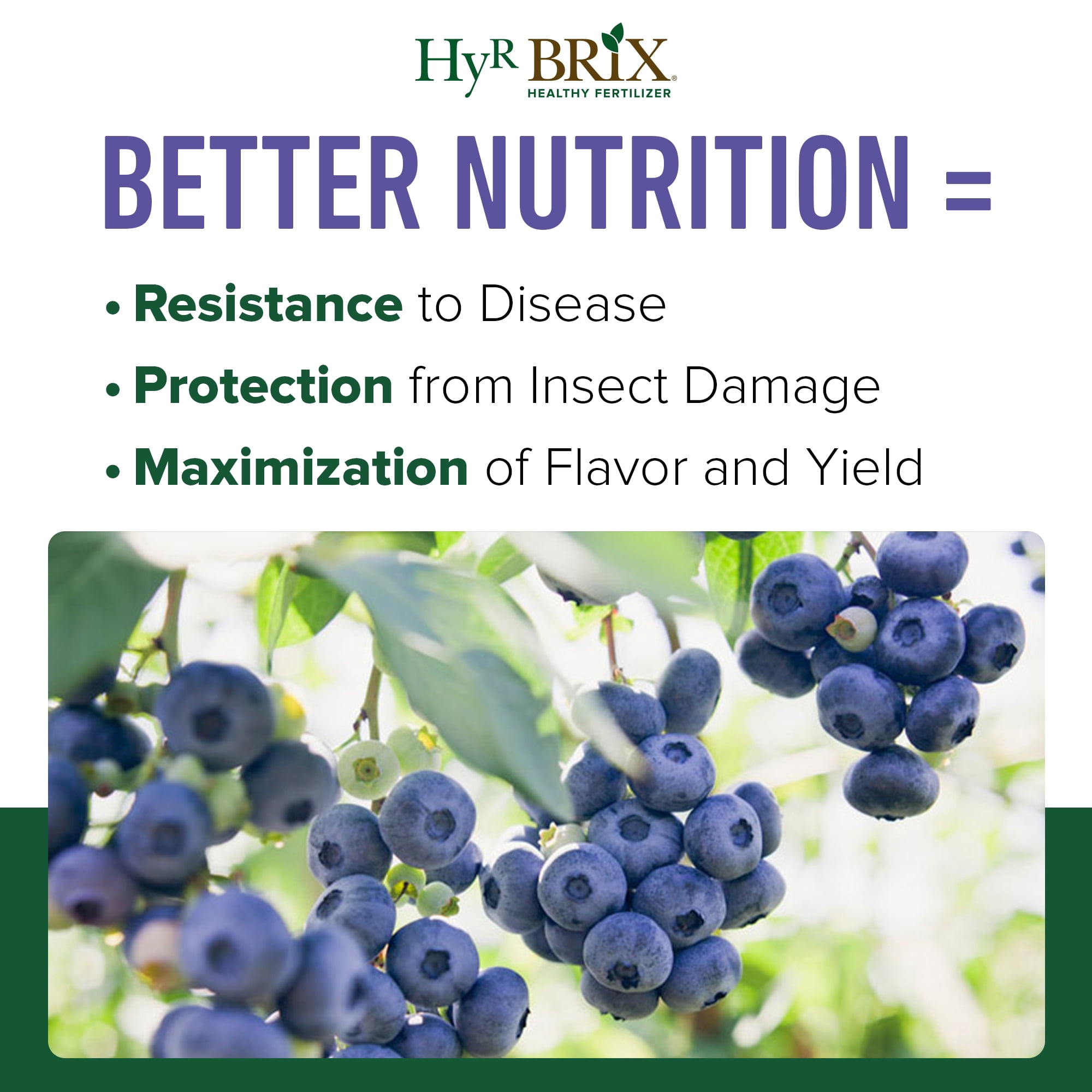 Hyr Brix Fruit & Berry Fertilizer