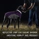 thumbnail image 5 of Abrigo FUAMEY para perro, chaqueta de invierno impermeable, color morado, XXL, 5 of 7