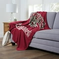thumbnail image 2 of The Northwest 1COL-23600-0310-OOF 50 x 60 in. NCAA Lafayette University Alumni Silk Touch Throw Blanket, 2 of 5