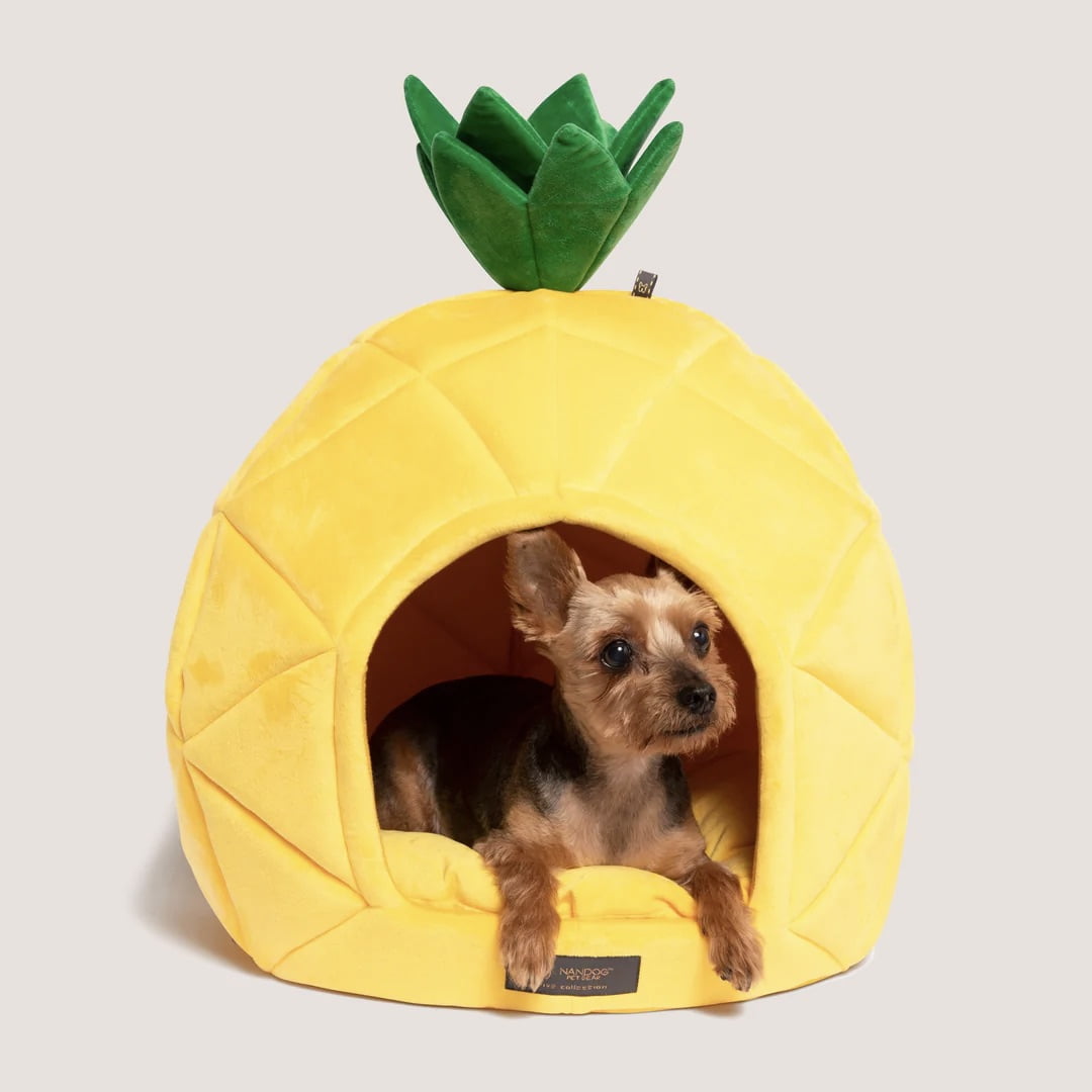 NANDOG Insta Fun Specialty Dog and Cat Bed Collection Large Pineapple Walmart