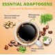 thumbnail image 2 of Crema de hongos arábica ECO-TASTE Alkaline Coffee 240 g, 2 of 5